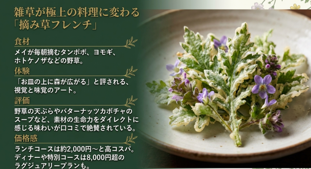 あしぇっと八ヶ岳の摘み草フレンチ：野草の天ぷらやスープなど素材の生命力を感じる料理と価格感