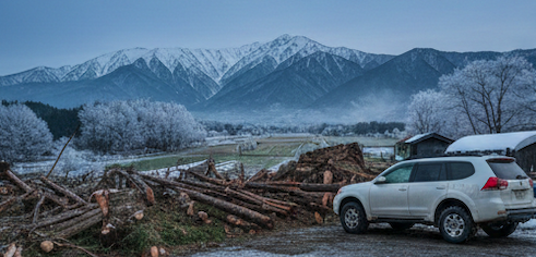免許返納後も「車なし」で暮らせるエリアの選定