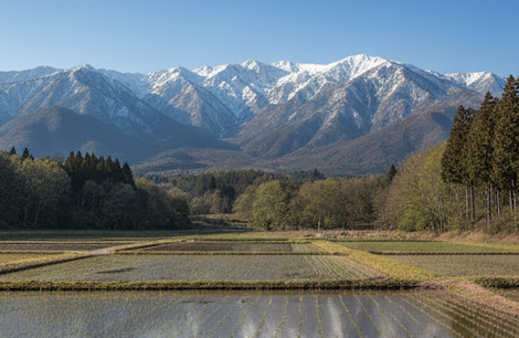 高1000mがもたらす意識の変容