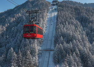 冬こそ電車アクセスが安全な理由