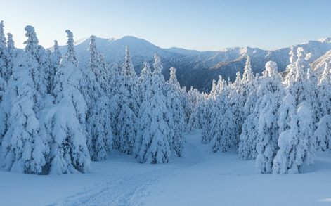 八ヶ岳の2月の雪山天気と気象リスク