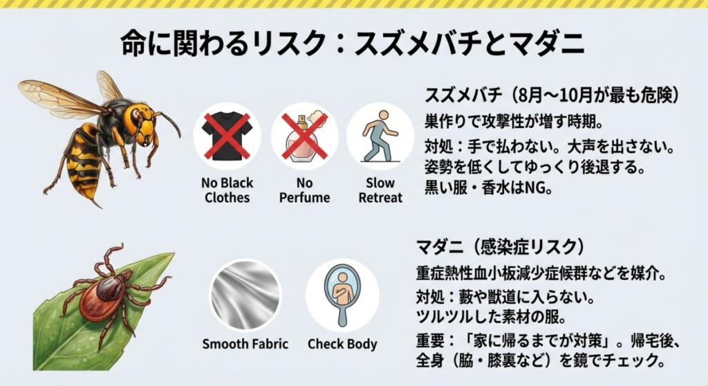 ズメバチとマダニのイラスト。黒い服を避ける、ゆっくり後退する、帰宅後のチェックなど、遭遇時の対処と予防策のまとめ