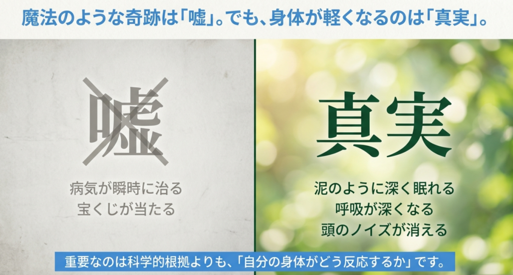 ゼロ磁場の効果に関する嘘(奇跡・宝くじ)と真実(深い睡眠・呼吸)の比較リスト