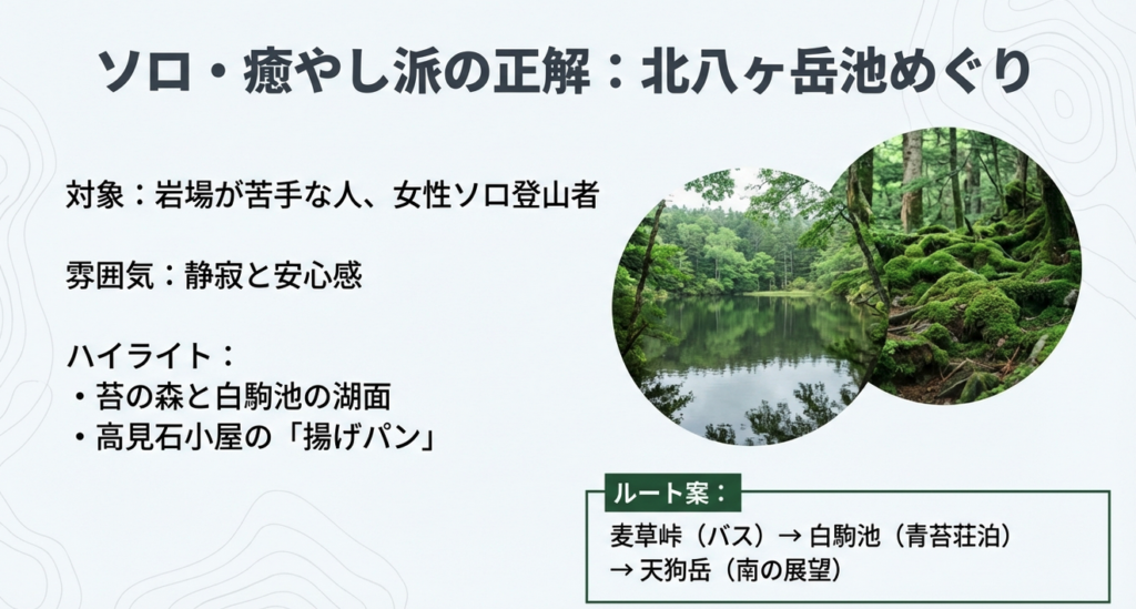 ソロ登山や女性におすすめな北八ヶ岳の池めぐりルートと苔の森