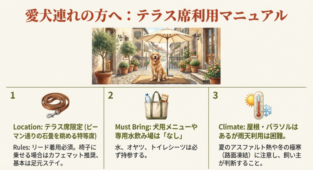 テラス席に座るゴールデンレトリバーのイラストとペット同伴時の持ち物・ルール