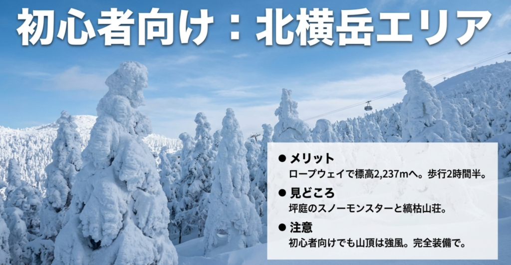 ロープウェイを利用する北横岳のメリットと、坪庭のスノーモンスターなどの見どころ