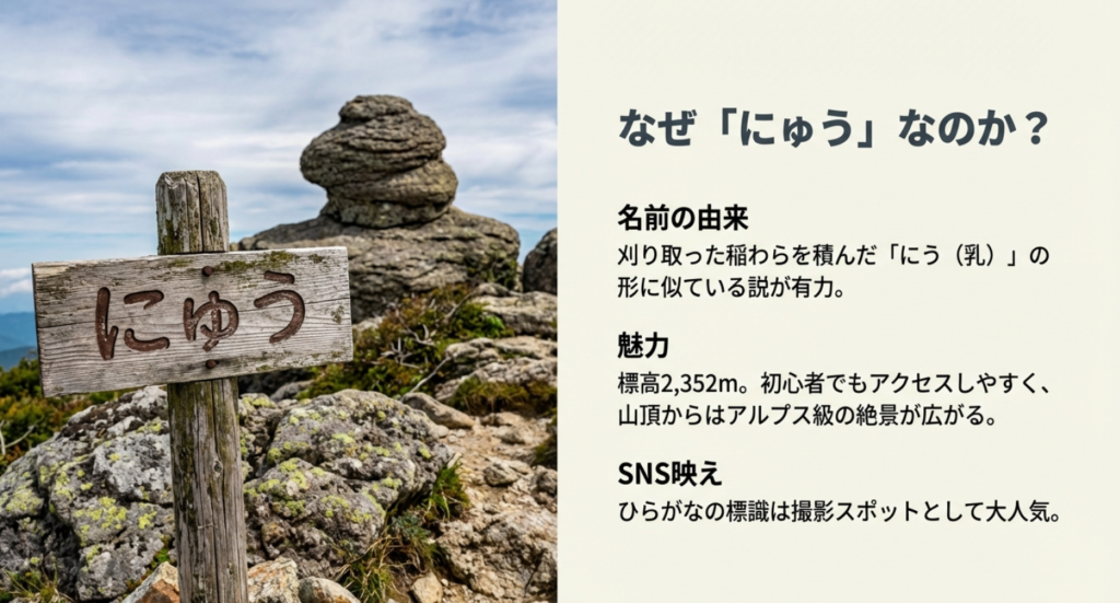 八ヶ岳にゅうの山頂標識と名前の由来となった稲わらの「にう」説の解説