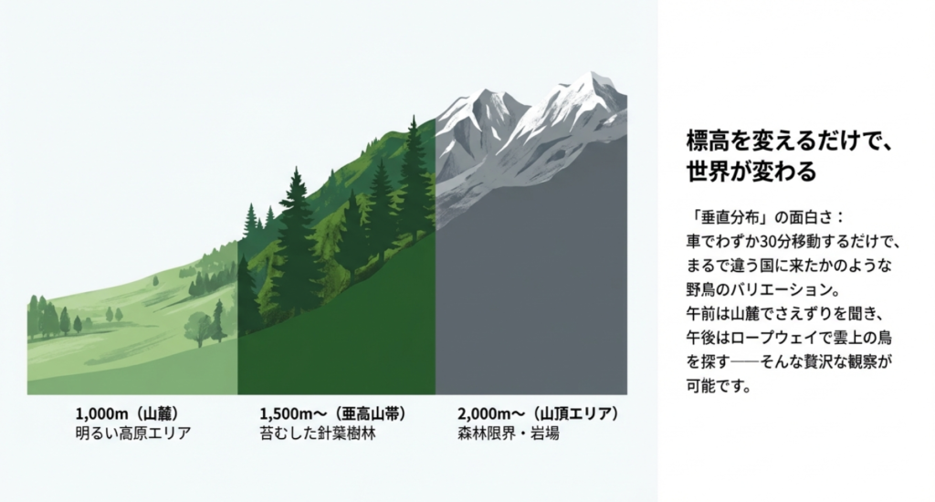 八ヶ岳の標高別・野鳥生息エリアマップ