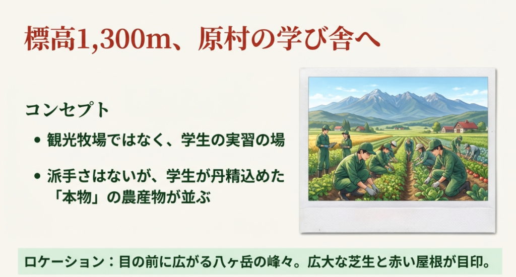 八ヶ岳を背景に農作業をする学生たちと直売所のロケーション