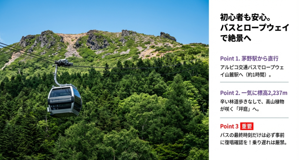 初心者も安心、北八ヶ岳ロープウェイで標高2,237mの坪庭へ一気にアクセス