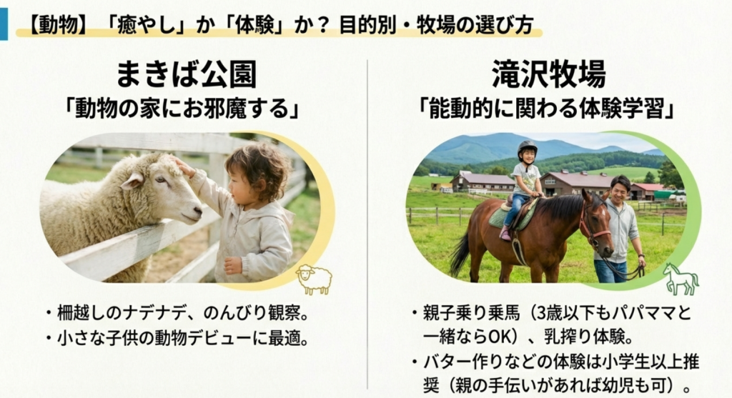 動物の癒やしなら「まきば公園」、乗馬や乳搾り体験なら「滝沢牧場」。目的別の牧場比較チャート。