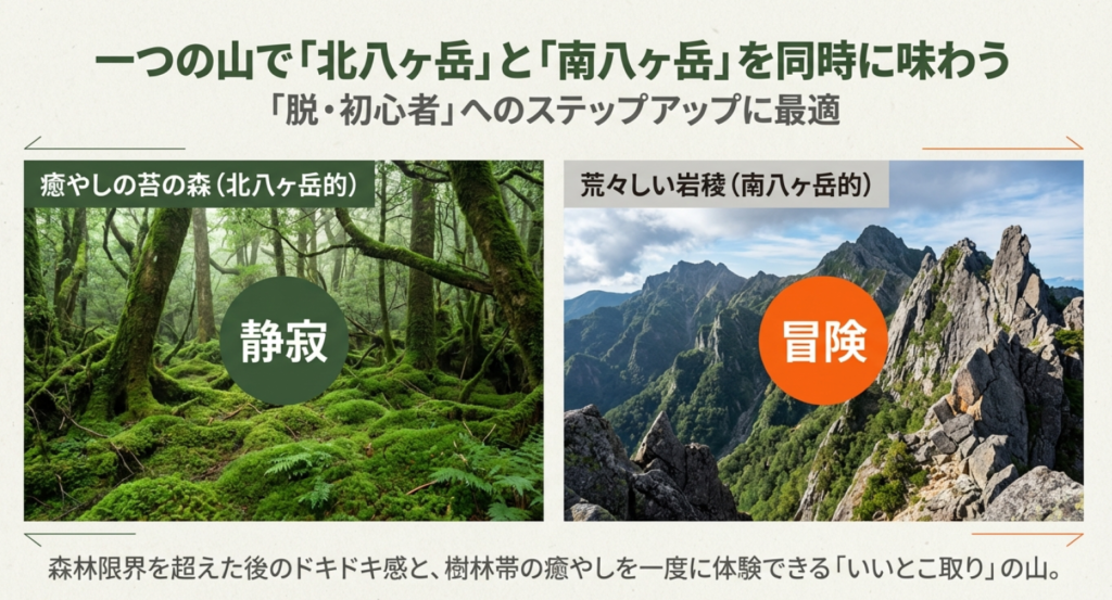 天狗岳の二つの顔、癒やしの苔の森と荒々しい岩稜の比較画像