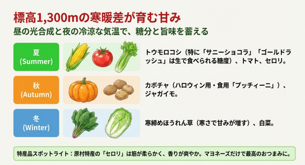 標高1300mが育む八ヶ岳の四季折々の高原野菜カレンダー