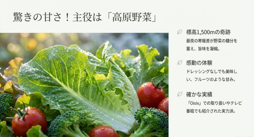 標高1,500mで育つ高原野菜の特徴。昼夜の寒暖差で糖度が増し、ドレッシングなしでも甘いレタスの解説