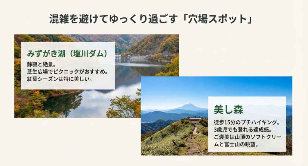 混雑を避ける穴場スポットとして、みずがき湖（塩川ダム）と美し森を紹介

