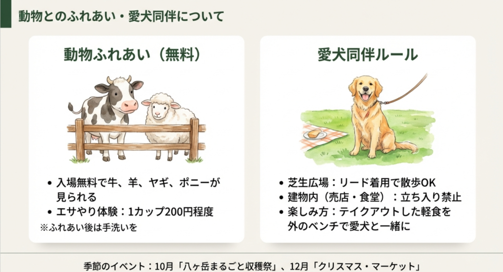 牛や羊とのふれあい体験と愛犬同伴時のマナールール