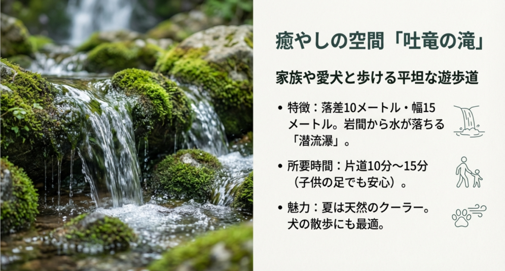 癒やしの空間「吐竜の滝」の特徴