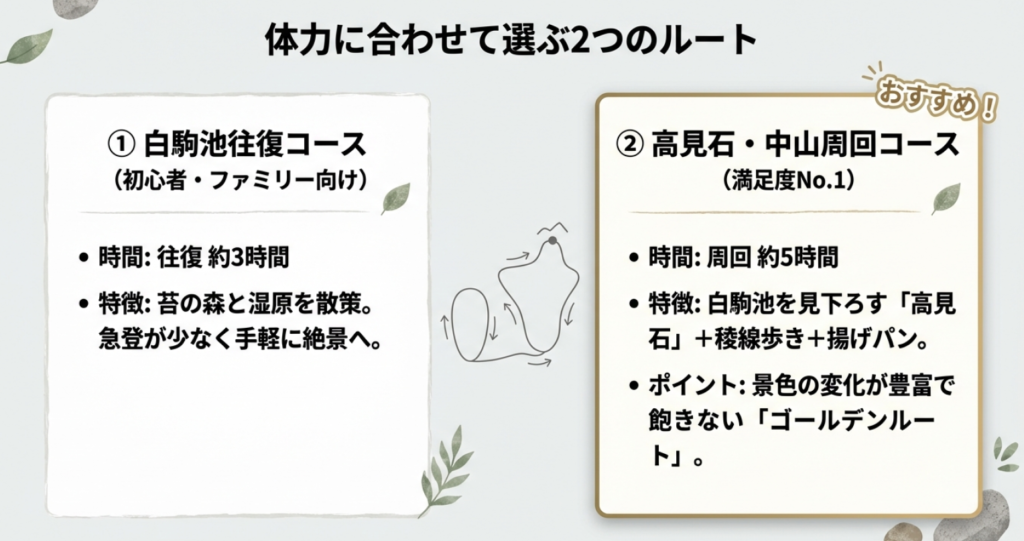 白駒池往復コースと高見石・中山周回コースの所要時間と特徴の比較チャート