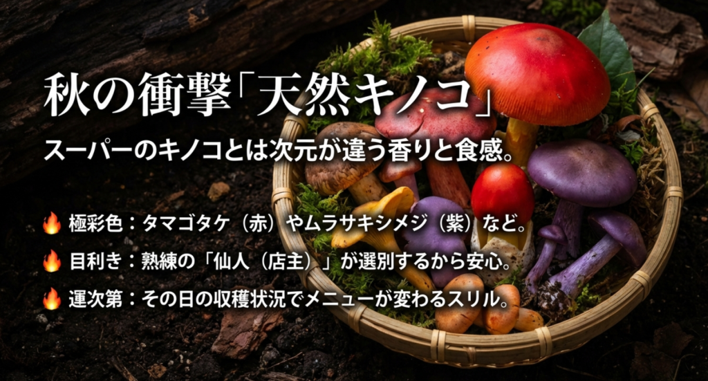 秋限定の天然キノコ料理。タマゴタケやムラサキシメジなど極彩色の山の恵み