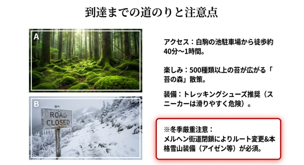 苔の森の散策ルートと冬季メルヘン街道閉鎖の案内