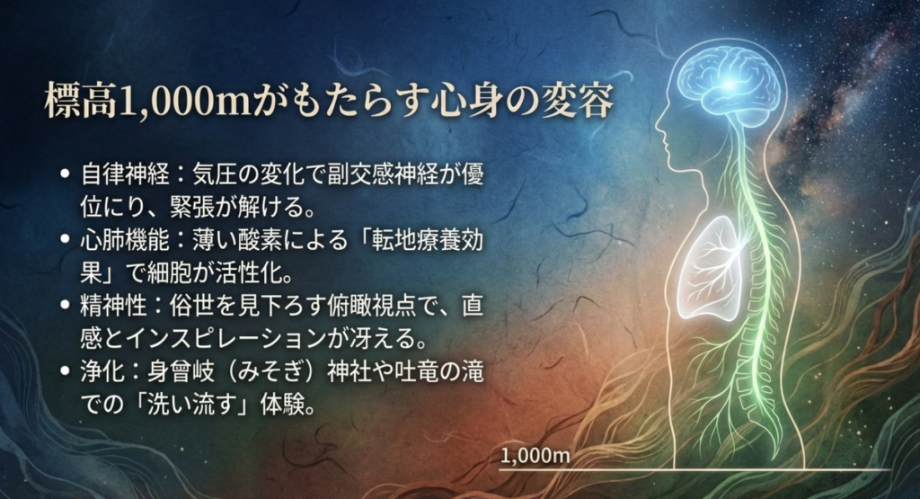 標高1000mでの自律神経や心肺機能の変化と浄化体験