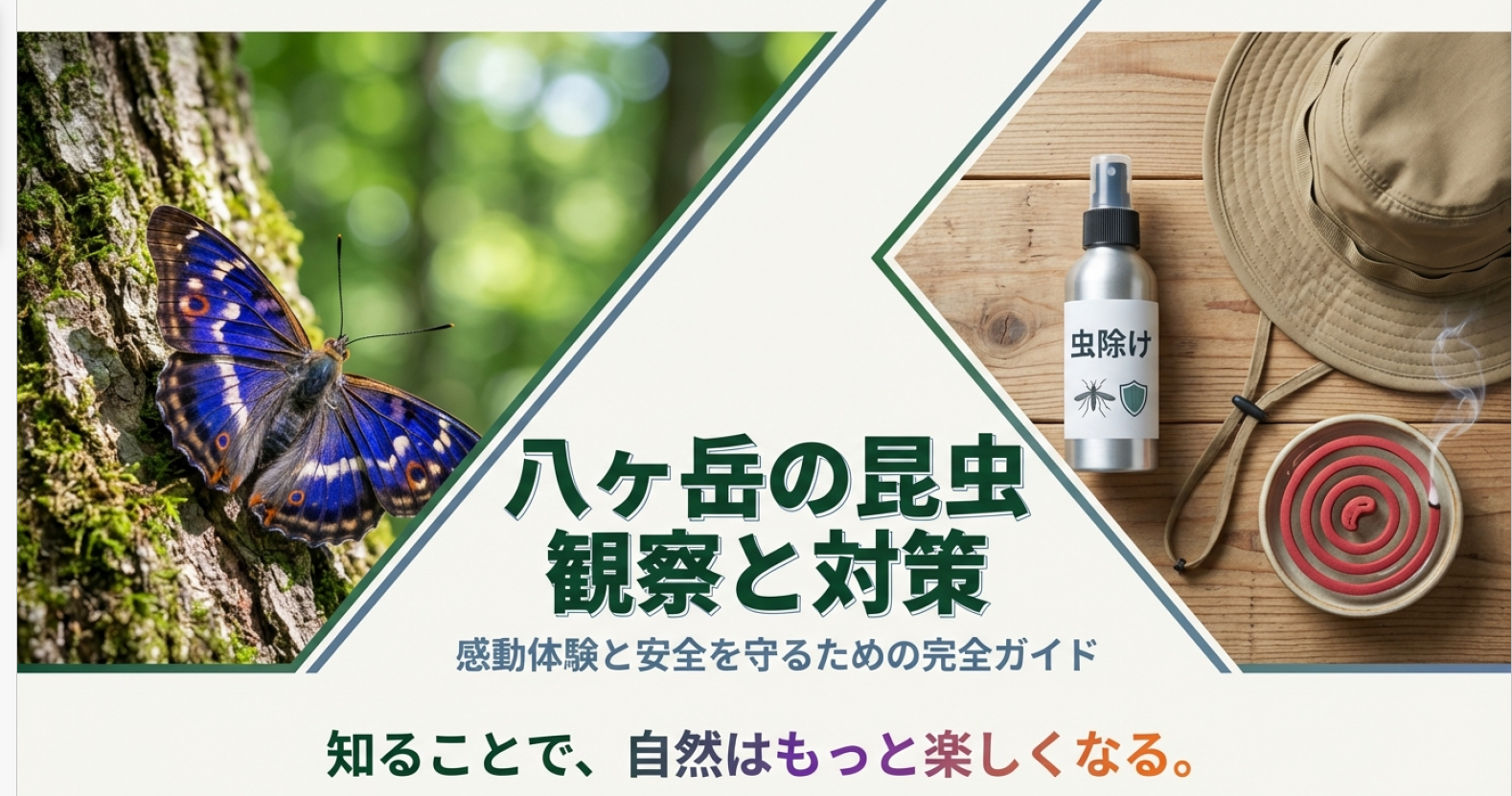 八ヶ岳の虫対策と観察ガイド！危険生物からオオムラサキまで