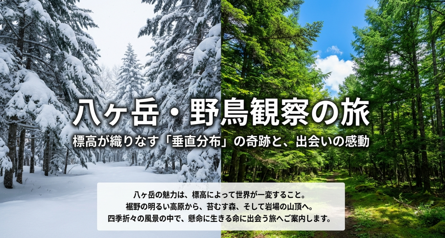 八ヶ岳の野鳥観察