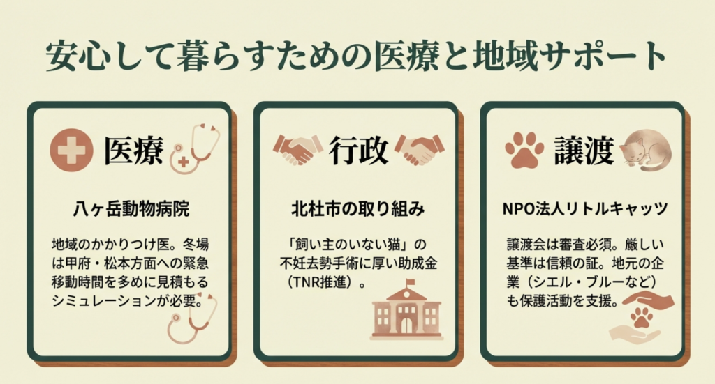 八ヶ岳の動物病院事情と行政の不妊去勢手術助成金