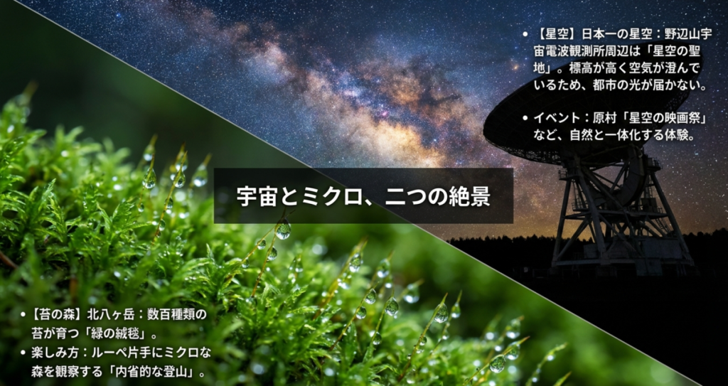 北八ヶ岳の「苔の森」での観察と、野辺山周辺の「日本一の星空」、原村の「星空の映画祭」を紹介