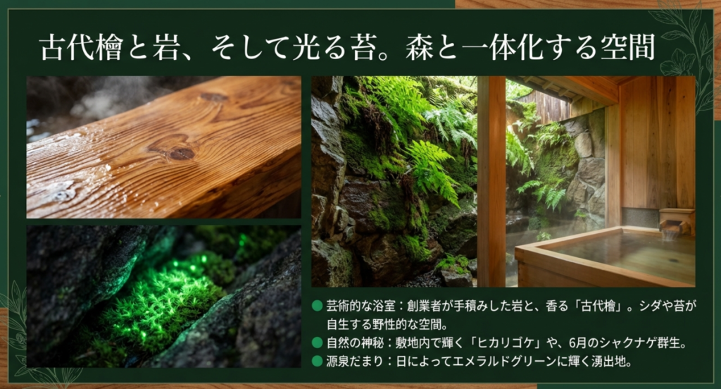 唐沢鉱泉の古代檜と岩で作られた芸術的な浴室と、敷地内で見られるヒカリゴケやシャクナゲなどの自然の紹介