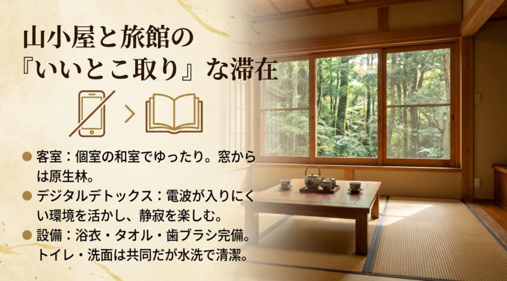 唐沢鉱泉の客室からの眺め。原生林を望む和室の様子と、デジタルデトックスに適した環境、アメニティ設備の紹介