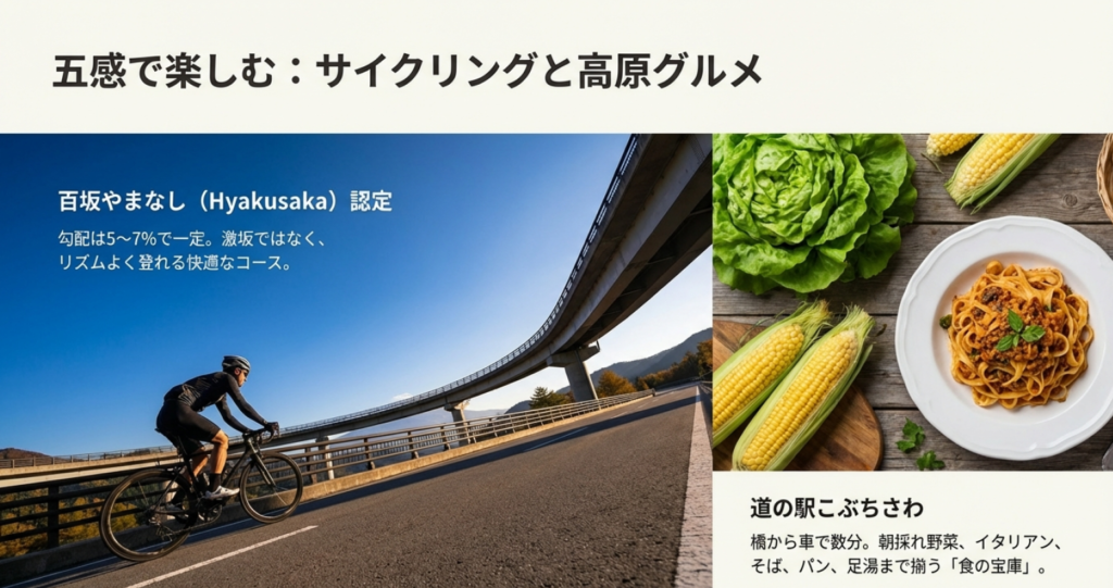百坂やまなし認定のサイクリングコースと道の駅こぶちさわのグルメ