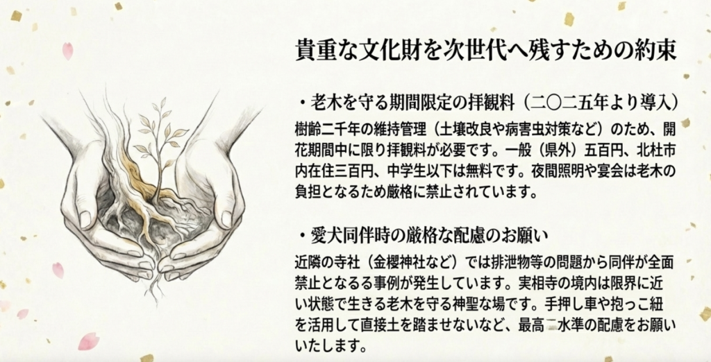 老木を守る期間限定の拝観料と愛犬同伴時の厳格な配慮に関するお願い