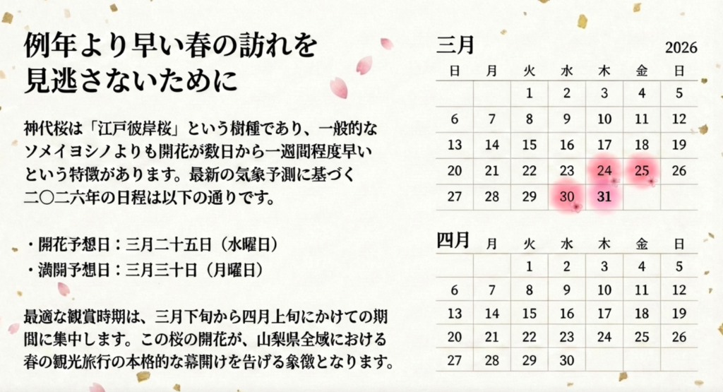2026年山高神代桜の開花
